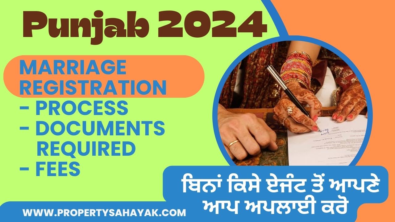 Save Money! Apply At Your Own - Marriage Certificate In Punjab: How To Apply, The Process, Documents Required and Fees of Registration of Marriage 2024